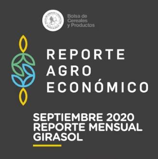 RAE de Girasol | Reporte Agroeconmico de Septiembre | 2020