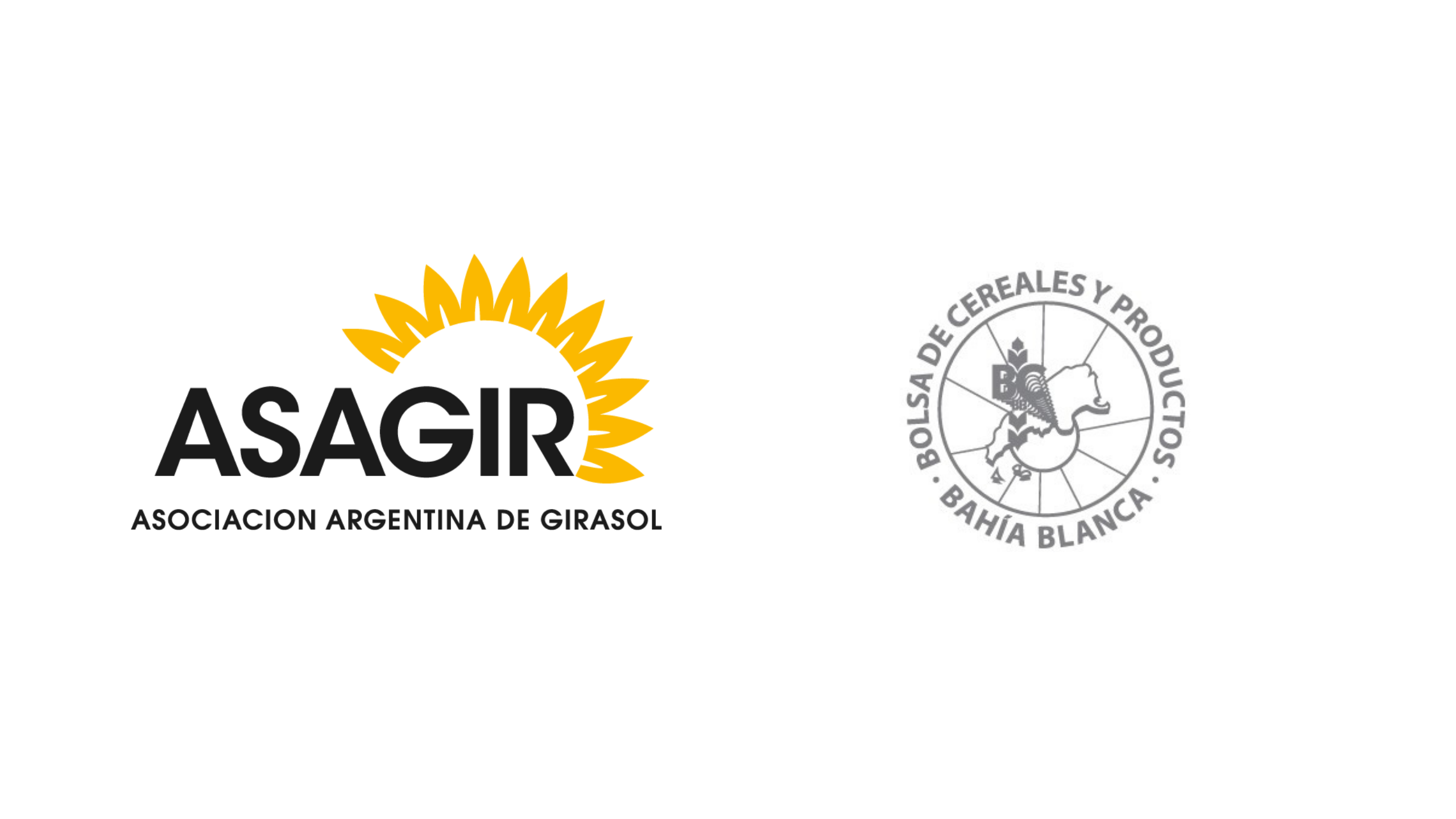 Actualizacin de Cosecha de Girasol en el Sur de Buenos Aires; gentileza de la Bolsa de Cereales y Productos de Baha Blanca.