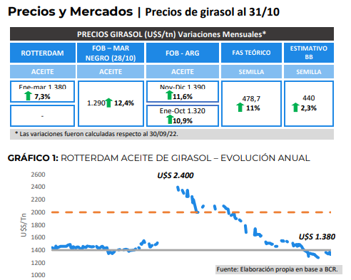 Aceite de girasol: suba de precios y firmeza en la demanda argentina 🌻