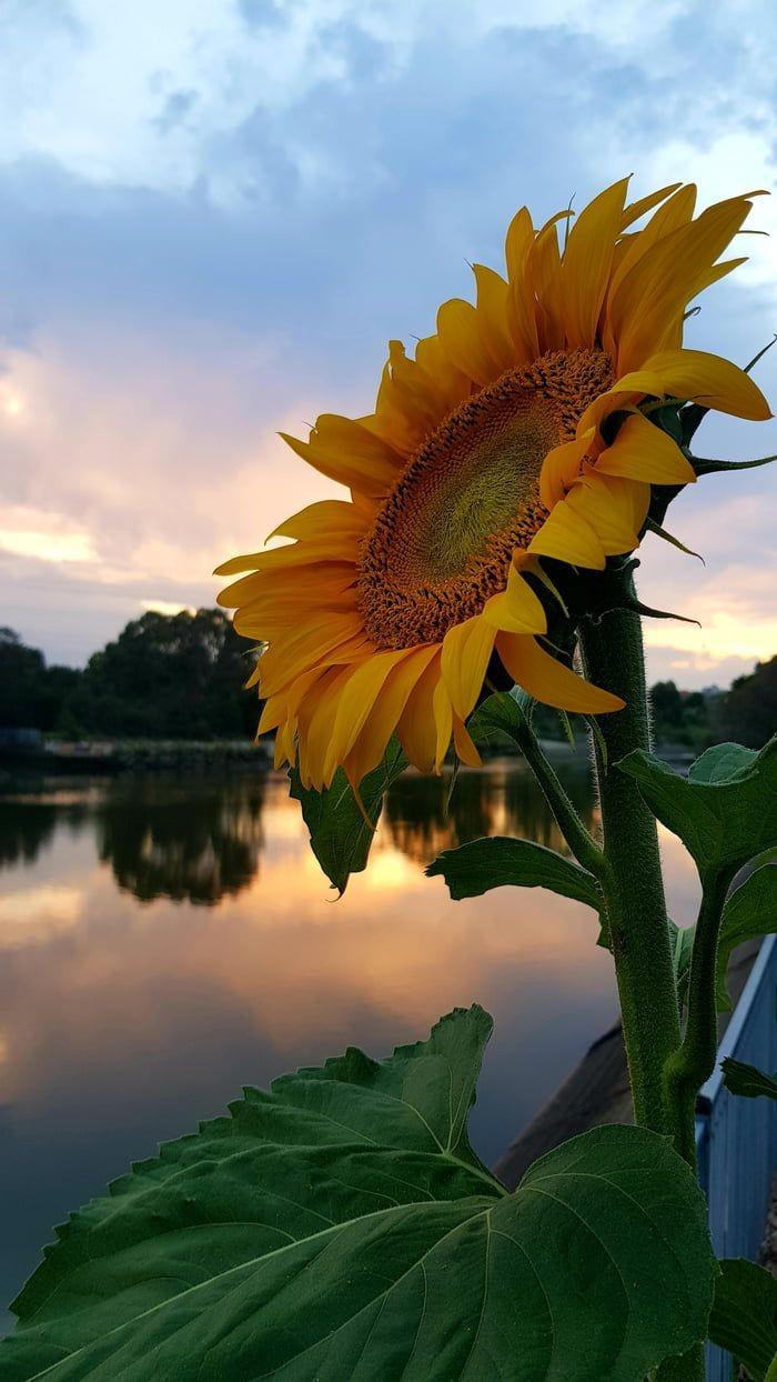 Fotografía enviada por un asociado