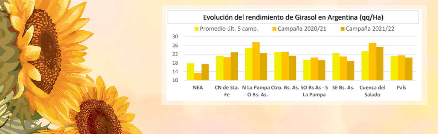 Evaluacin Cultivares