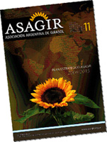 Todava se puede llegar a las 6 M de t de girasol?