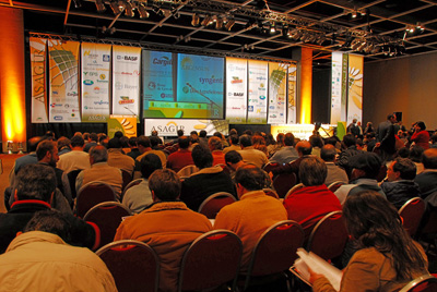 Todas las respuestas a los desafos del girasol