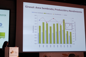 El clima pronosticara un buen girasol
