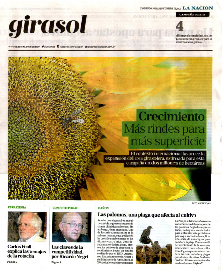 El girasol tiene ms potencial