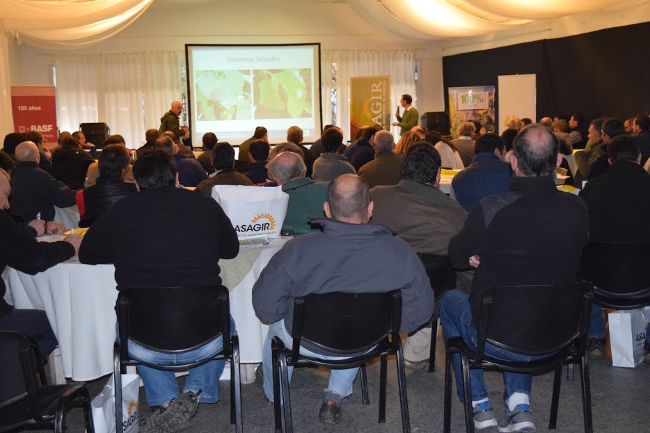 Cmo sumar toneladas de girasol en el Oeste