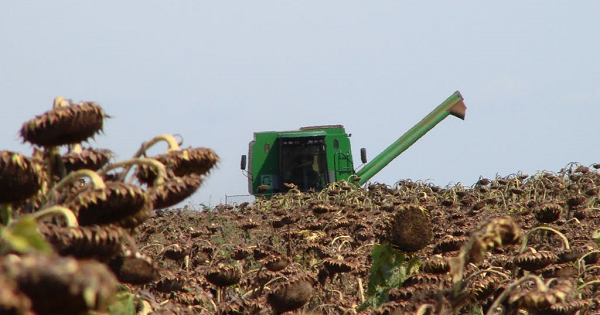 Seminario sobre comercializacin de girasol