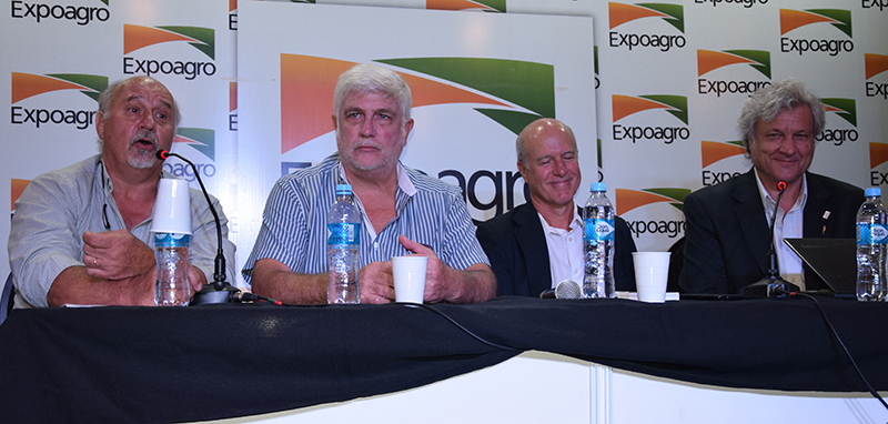 El girasol hizo su balance en Expoagro