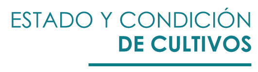Bolsa de Cereales de Buenos Aires