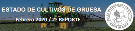 REPORTE AGRCOLA QUINCENAL