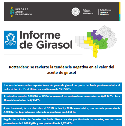 Informe de Girasol