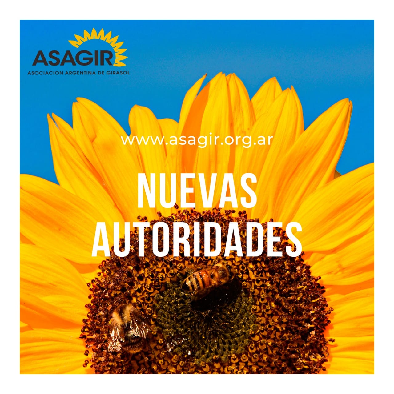 Nuevas autoridades institucionales de la Cadena de Valor del Girasol Argentino (ASAGIR)