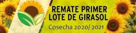 Ganador del Remate del primer lote de girasol cosecha 2020/2021