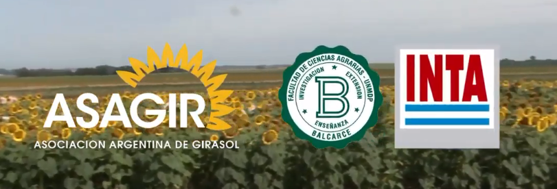 Presentacin virtual de la Red de Evaluacin de Girasol