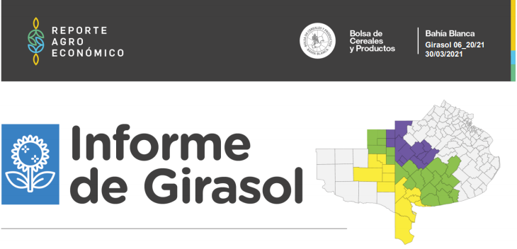 INFORME DE GIRASOL