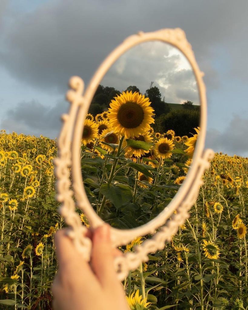 Galera fotogrfica