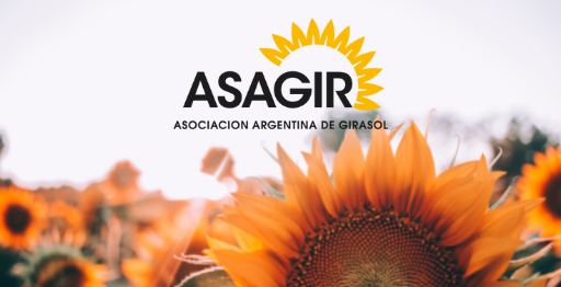 17 INFORME DE GIRASOL - 6 de agosto del 2021