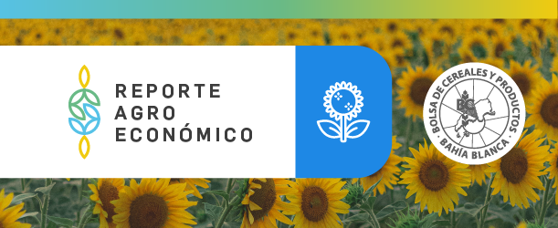 REPORTE AGROECONOMICO DE GIRASOL N 01 - 2021/22