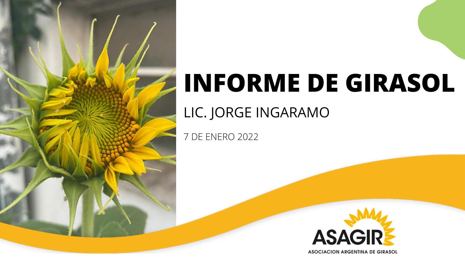 1 INFORME DE GIRASOL  2022, enero 7.