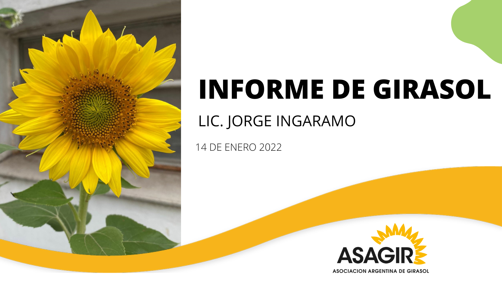 2 INFORME DE GIRASOL 2022, enero 14.