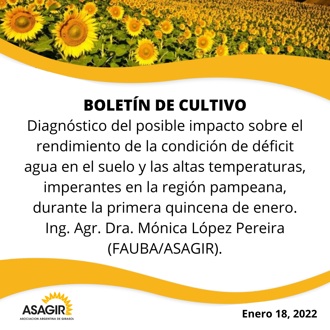 BOLETN DE CULTIVO