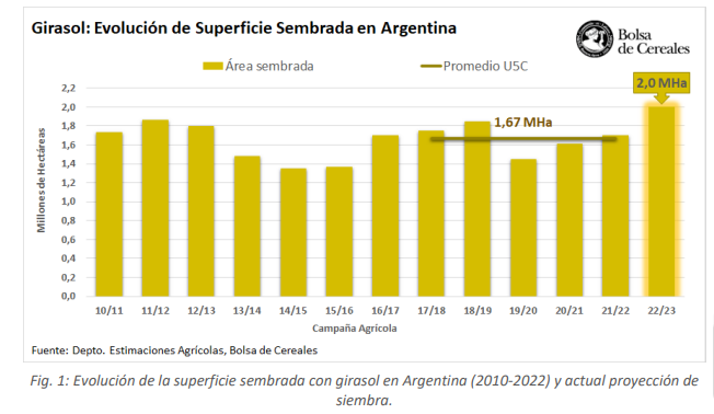 Girasol 2022/23 🌻 La primera proyeccin de superficie para este ciclo se ubica en 2 Mha