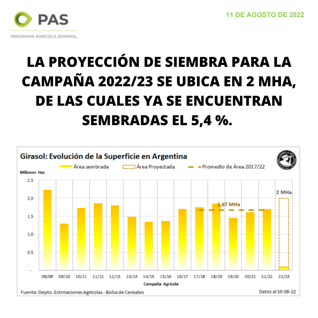 LA PROYECCIN DE SIEMBRA PARA LA CAMPAA 2022/23 SE UBICA EN 2 MHA, DE LAS CUALES YA SE ENCUENTRAN SEMBRADAS EL 5,4 %.