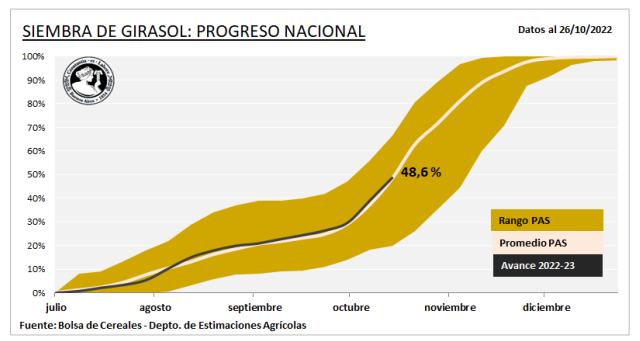 La siembra de girasol 🌻se ubican en el 48,6 %