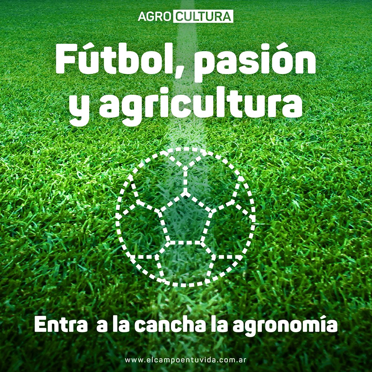 AgroCultura, una movida para mostrar la sustentabilidad de la produccin agropecuaria