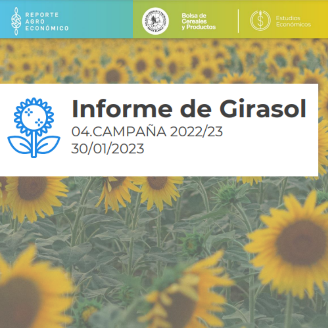 Informe de Girasol 04.CAMPAA 2022/23 30/01/2023