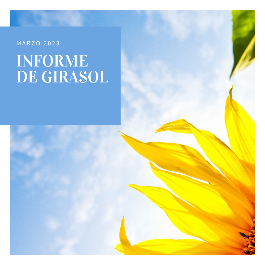 Informe de girasol: Buenos rendimientos, casi normales, en Buenos Aires y La Pampa.