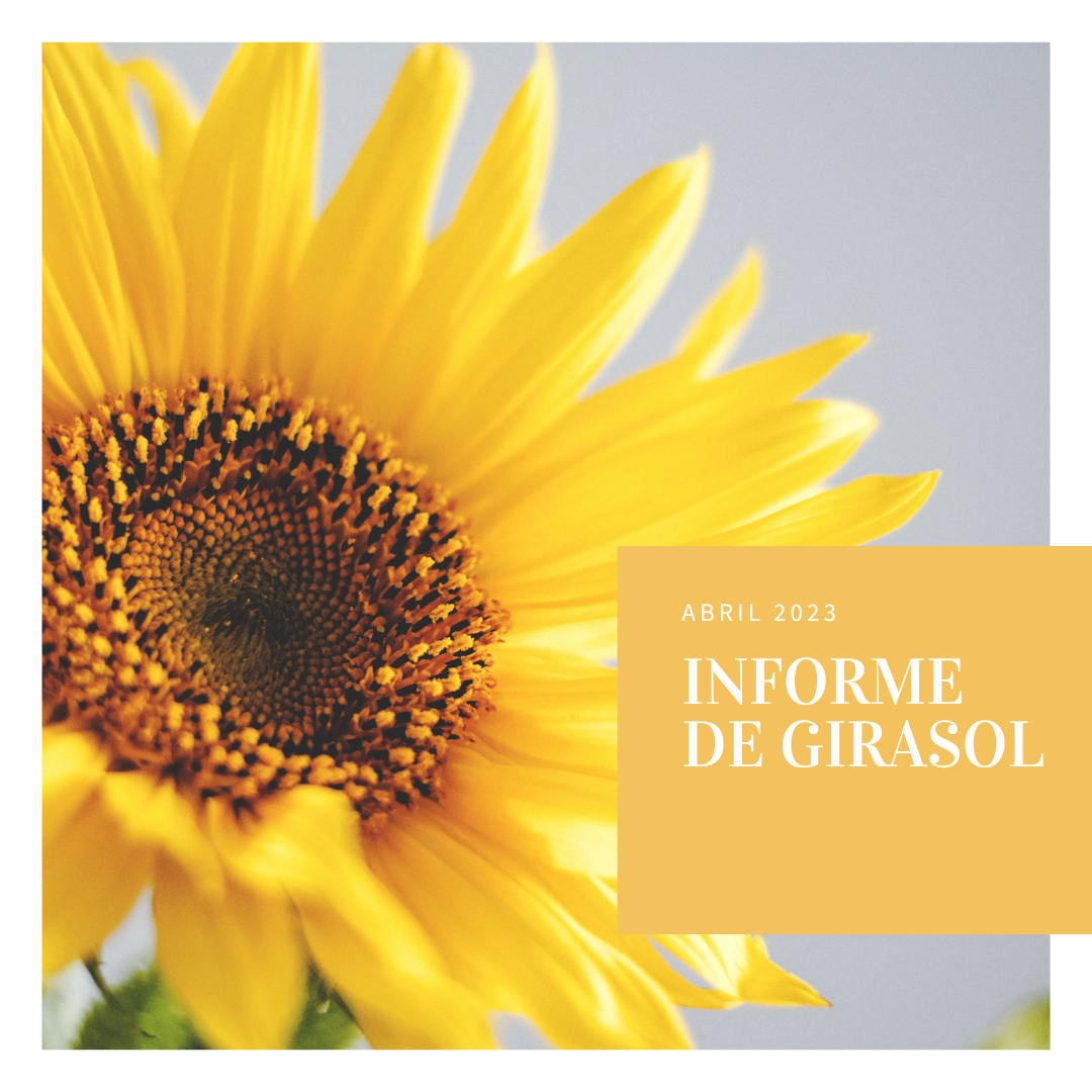 Informe de Girasol