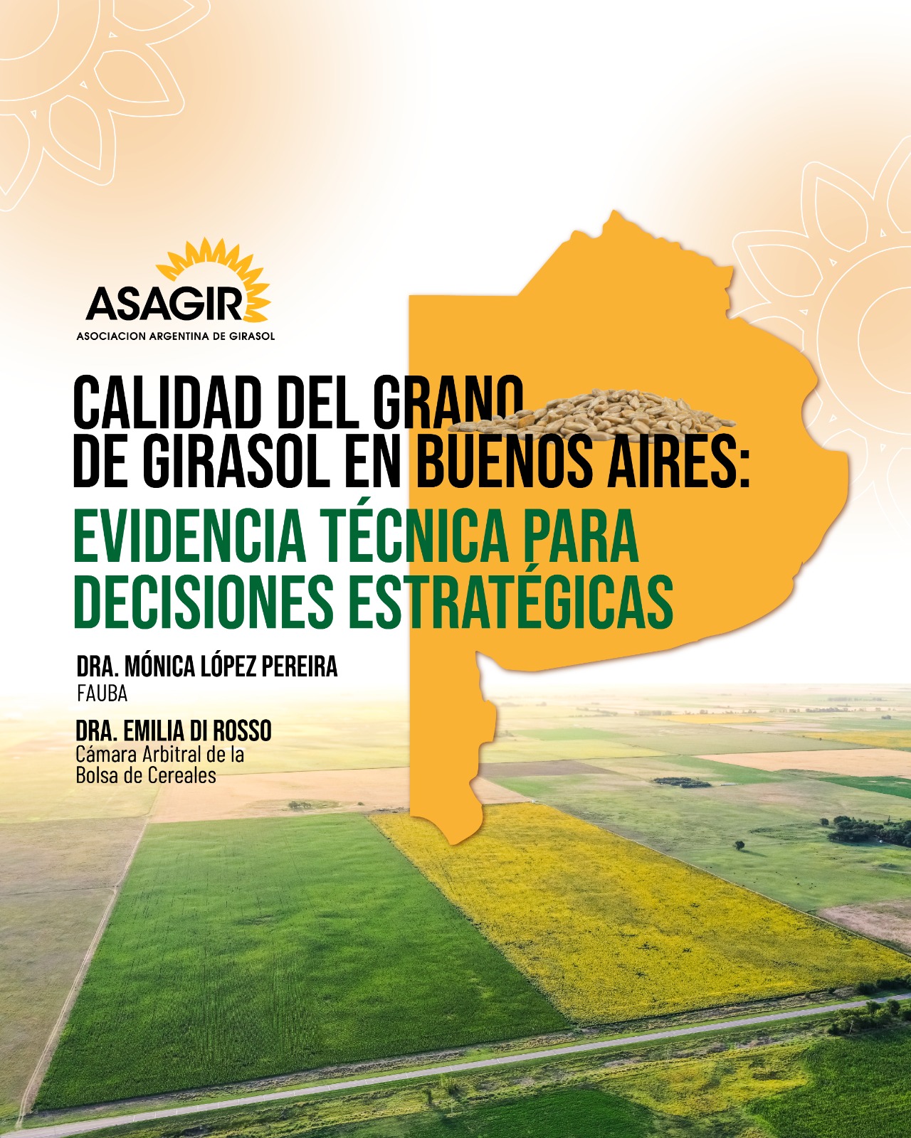 Calidad del grano de Girasol en Buenos Aires